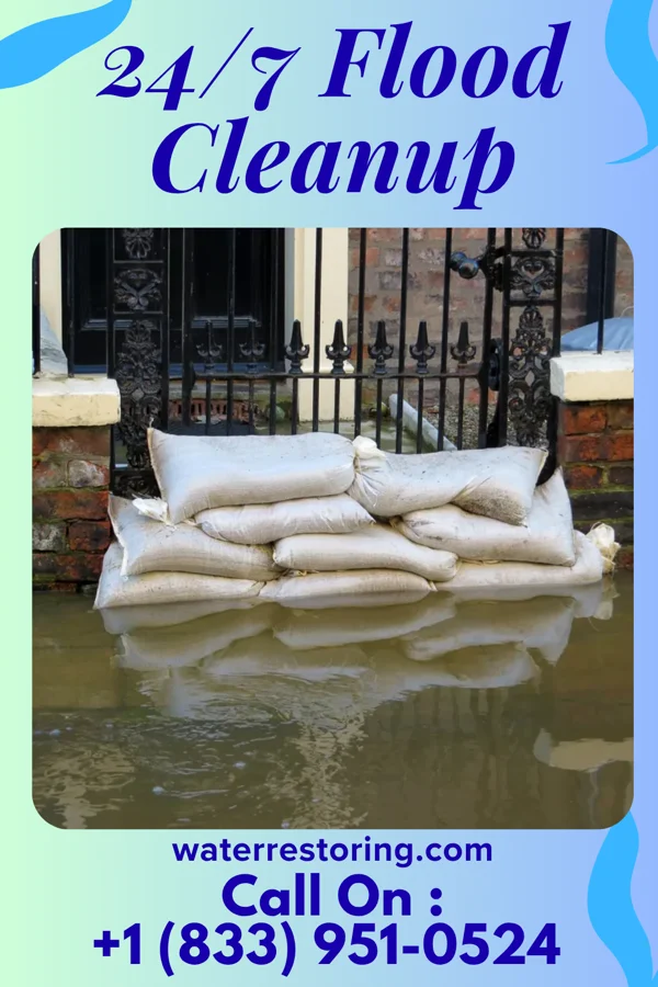 24/7 Flood Cleanup in Tingley, IA
