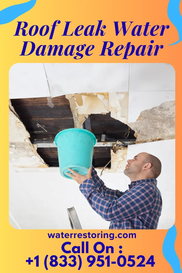 Roof Leak Water Damage Repair in Tingley, IA