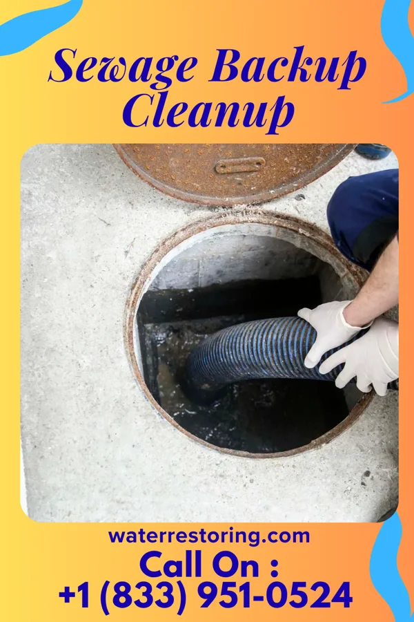 Sewage Backup Cleanup in Tingley, IA