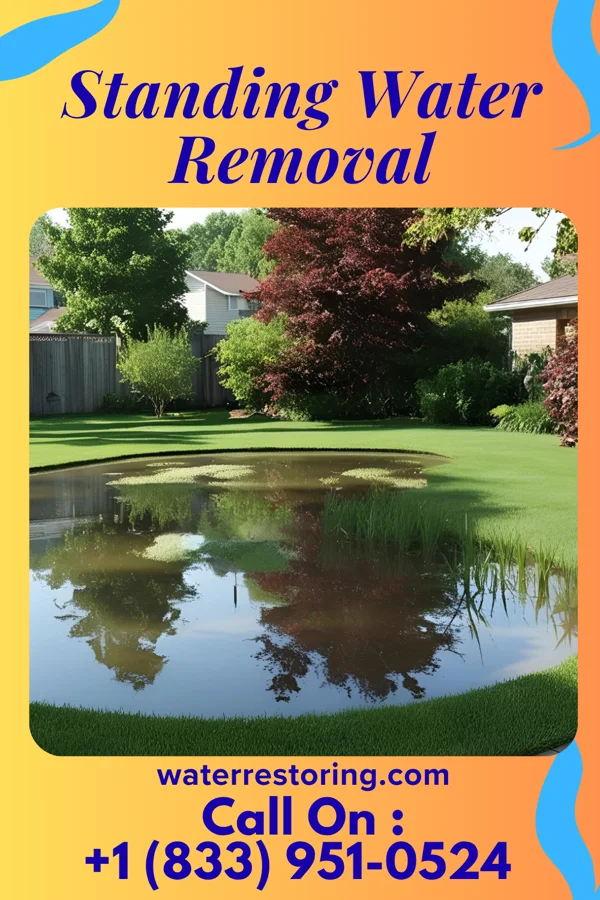 Standing Water Removal in Tingley, IA